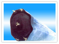 Air Bag Inner Mold For Concrete Hollow Part of Bridge Culvert Buildings